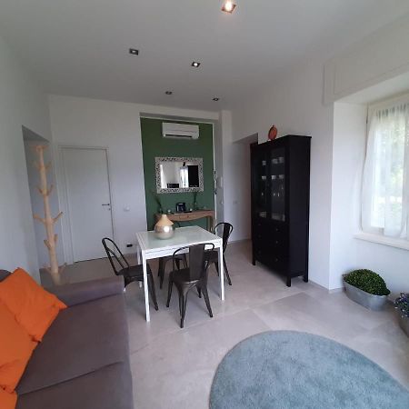 Bmp Apartment Gioiosa 2 Giardino Vista Lago Maggiore 벨지라테 외부 사진