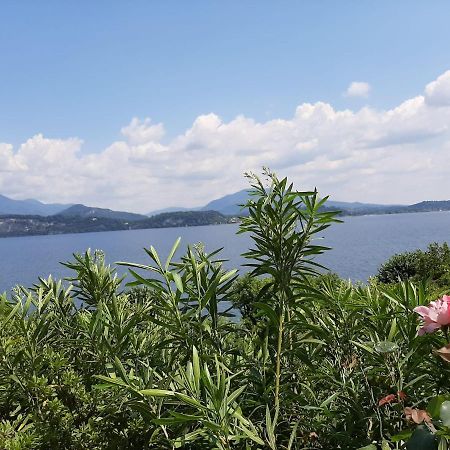 Bmp Apartment Gioiosa 2 Giardino Vista Lago Maggiore 벨지라테 외부 사진
