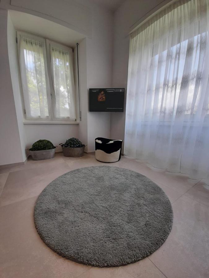 Bmp Apartment Gioiosa 2 Giardino Vista Lago Maggiore 벨지라테 외부 사진