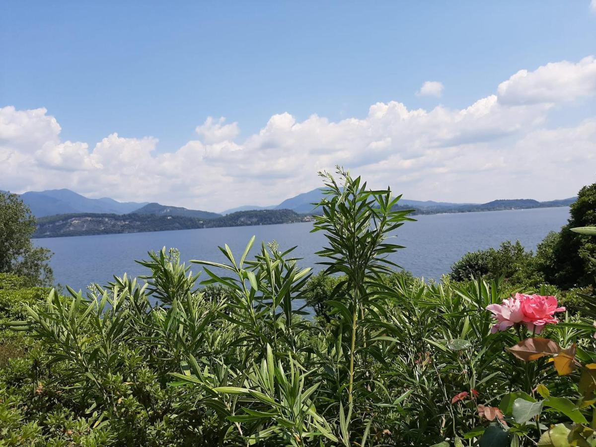 Bmp Apartment Gioiosa 2 Giardino Vista Lago Maggiore 벨지라테 외부 사진