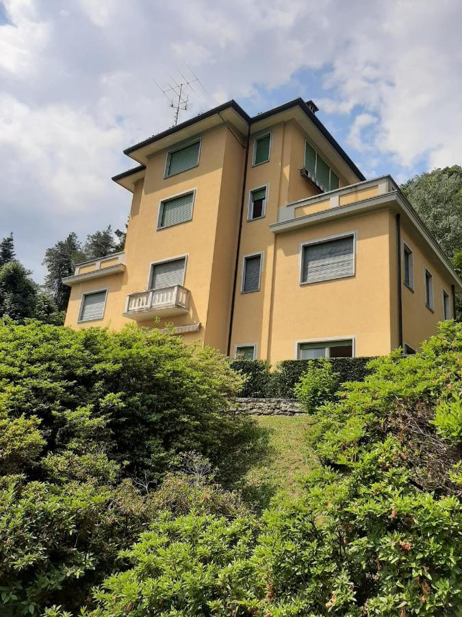 Bmp Apartment Gioiosa 2 Giardino Vista Lago Maggiore 벨지라테 외부 사진